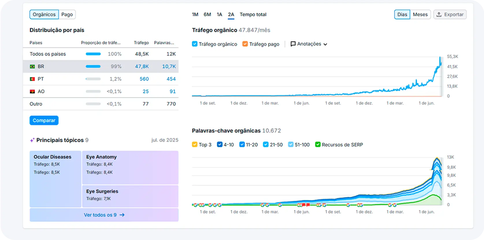sem rush resultados vision one, criação de sites